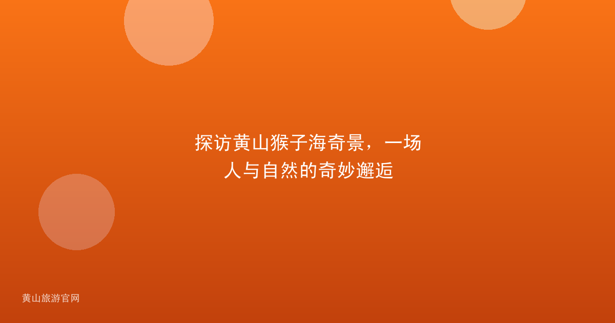 探访黄山猴子海奇景，一场人与自然的奇妙邂逅