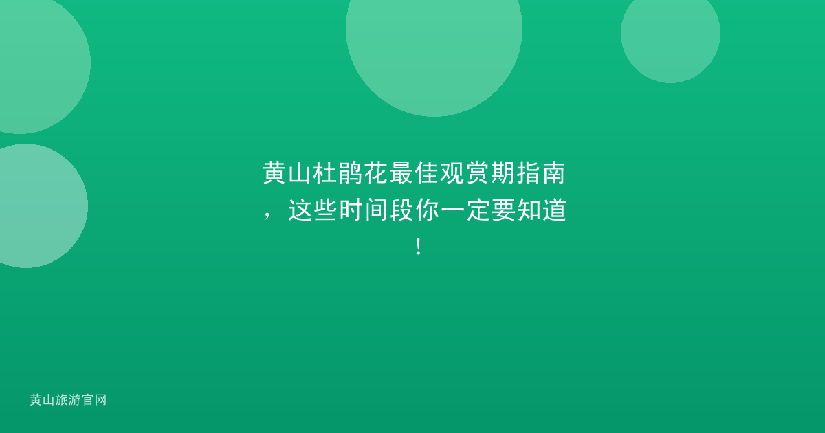 黄山杜鹃花最佳观赏期指南，这些时间段你一定要知道！